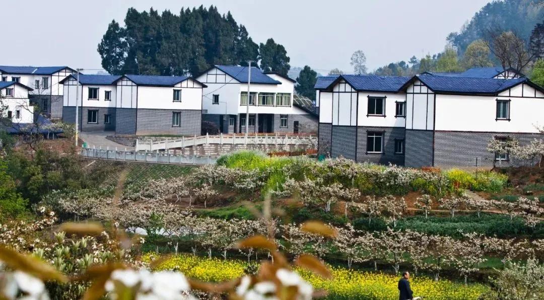 达州一座有温度的城市,达州一个有温度的城市