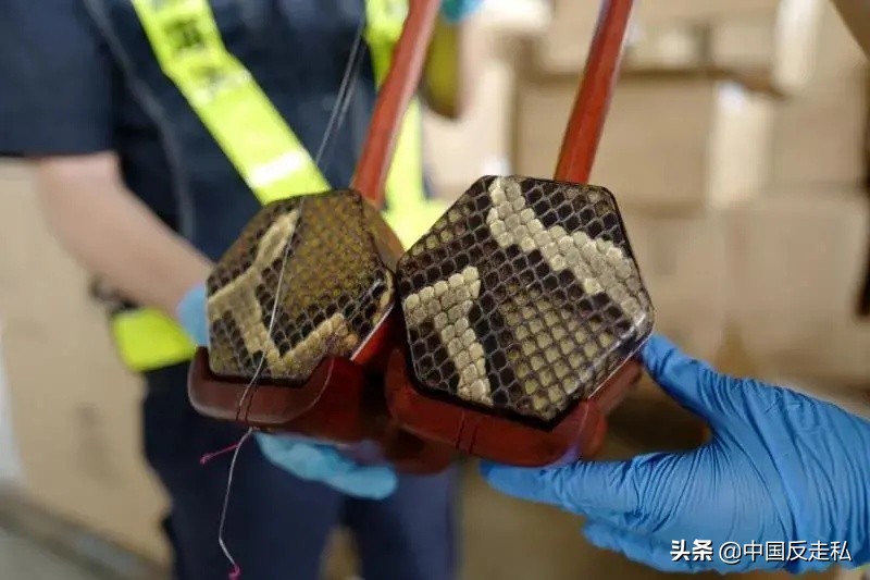 国门利剑打击走私专项行动,国门利剑2018全集