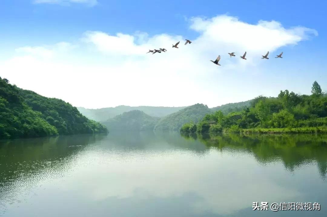 罗山县首届摸鱼节,信阳摸鱼节