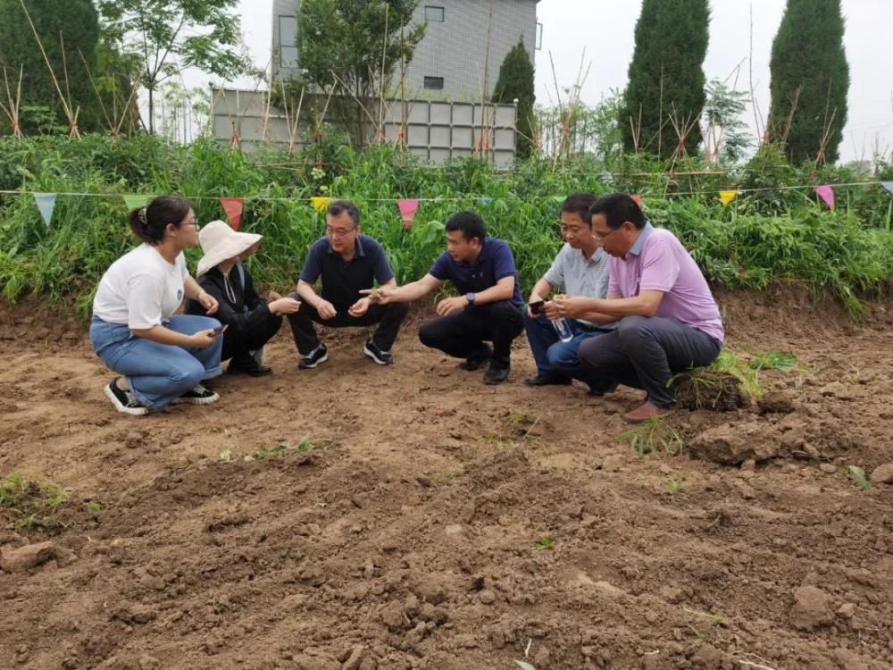 鍟嗕笜杩斿晢鏀跨瓥,鍟嗕笜瀵诲晢缁撴灉