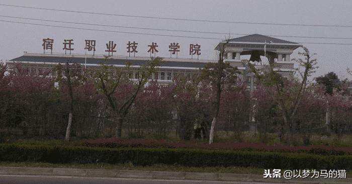 15所高职专科学校,15所公办专科