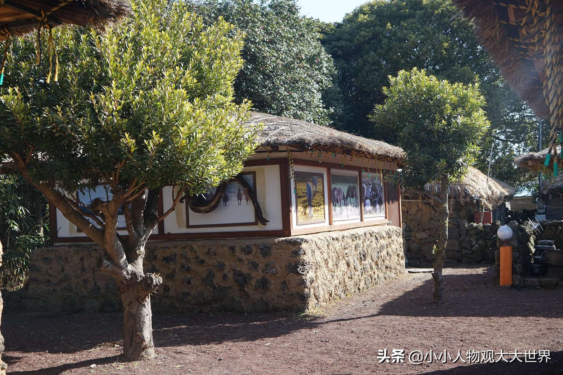 韩国济州岛靠近中国哪里,韩国七日游济州岛攻略