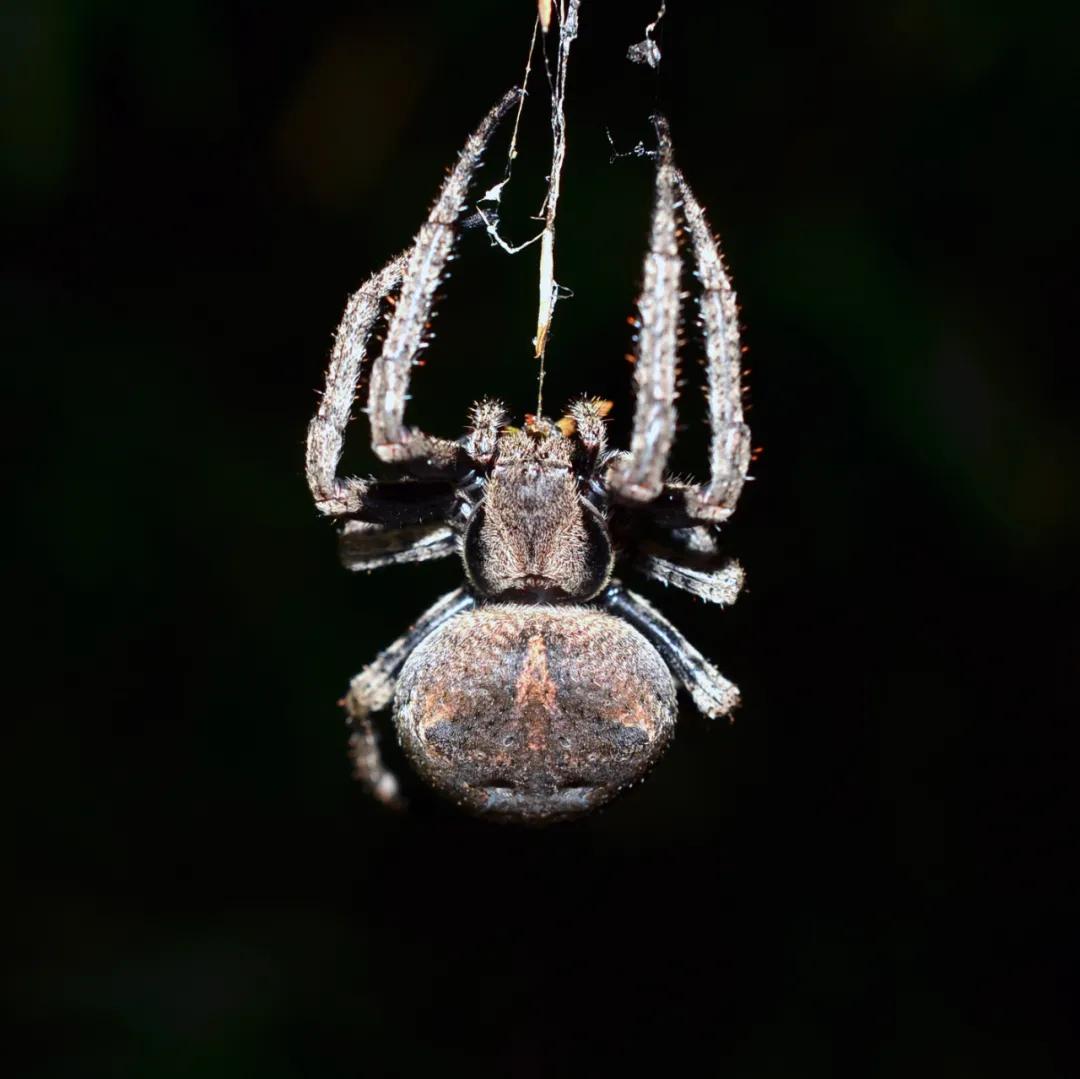 合肥融创茂宝藏秘境,合肥宝藏地