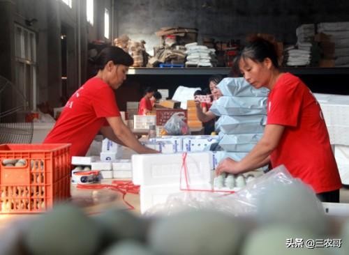 八个适宜在农村创业致富的项目,适合农村做的项目投资少见效快