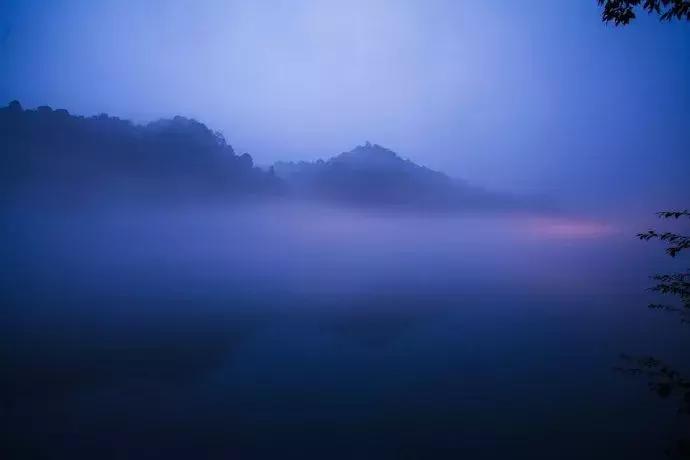 纵豆蔻词工青楼梦好难赋深情出处,纵豆蔻词工青楼梦好难赋深情赏析