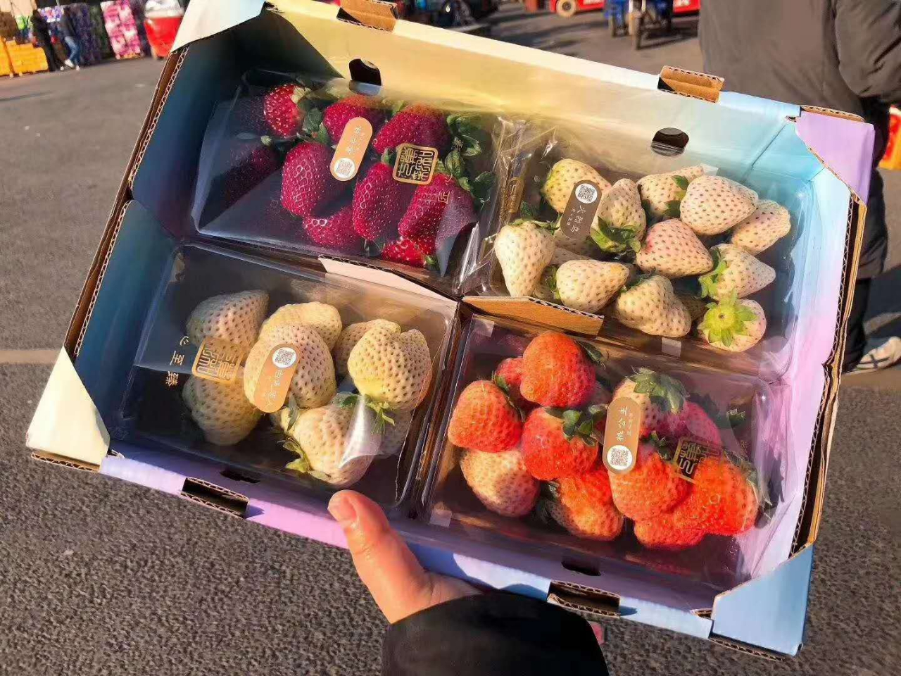 四川种植草莓的成本及利润,一亩大棚草莓的真实利润