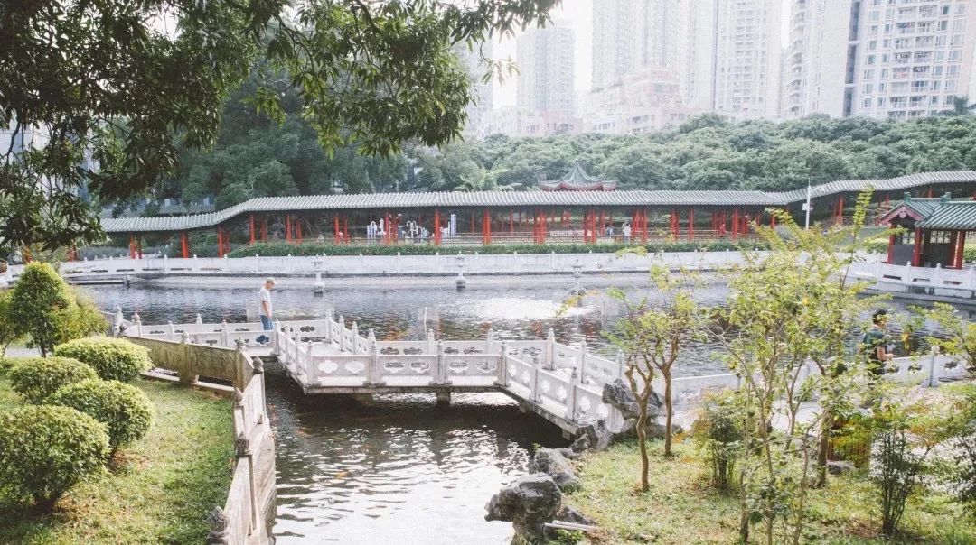 深圳3号线有哪些可以玩的,深圳7号线攻略