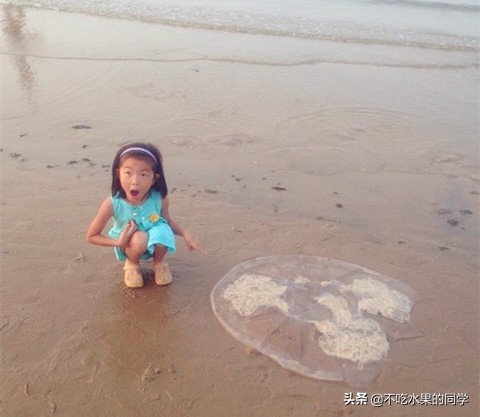 被宠物猫咬伤出血要打狂犬疫苗吗,宝宝被宠物咬伤时的紧急处理方法