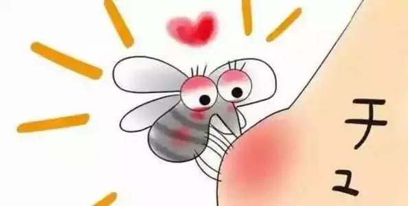 为什么总是被蚊子咬,为什么总是被蚊子叮呢