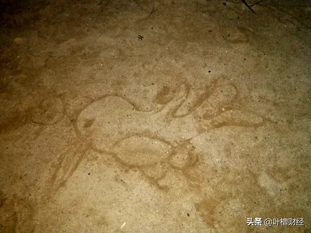 霸气回怼第三者,怒怼第三方催债