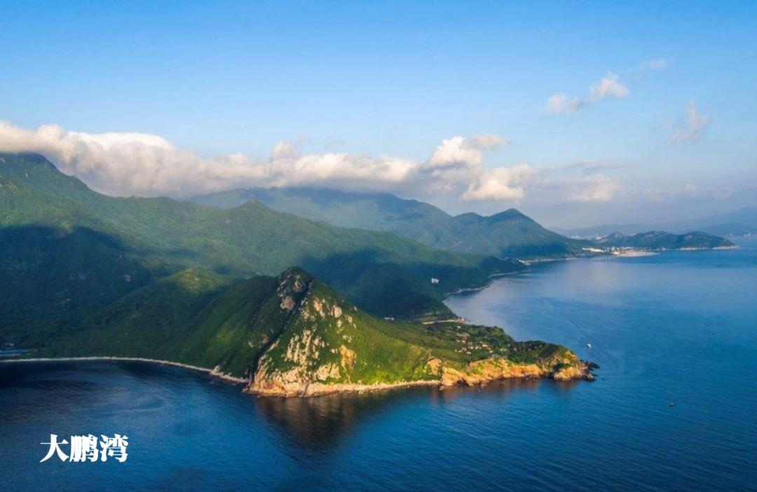 深圳湾在哪里,深圳湾是什么区的