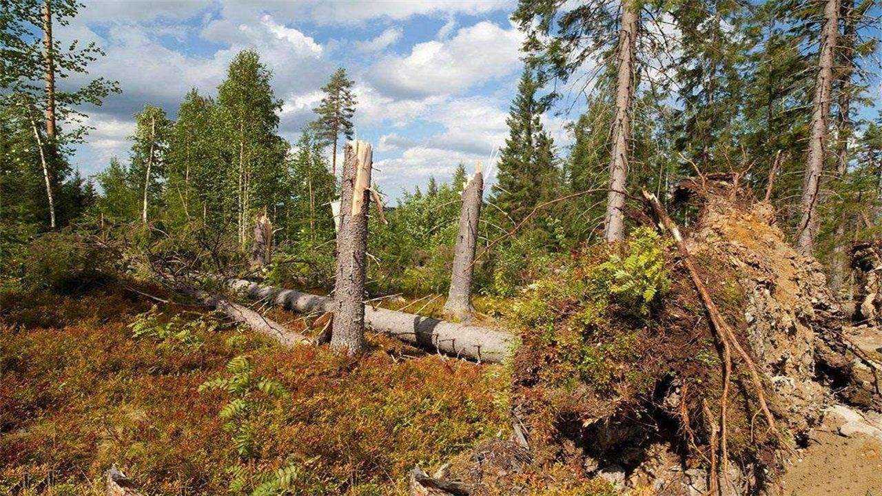 额尔古纳河右岸深层解读,额尔古纳河深度解析