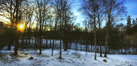 甘草学园｜燥湿同病的用药三法和临证举隅