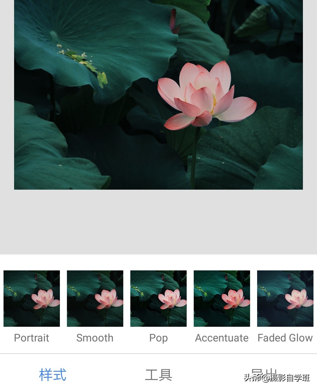 雾里看花怎么拍,雾景的拍摄技巧拍出雾气朦胧大片
