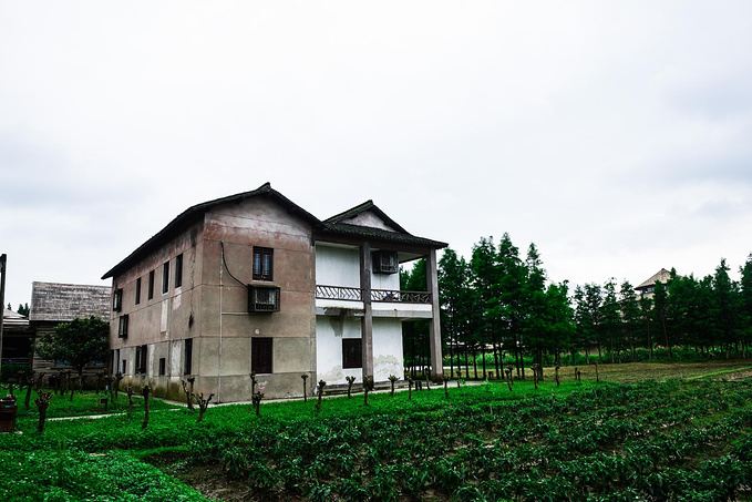 乌村暑期夏令营，吃喝玩乐在这里