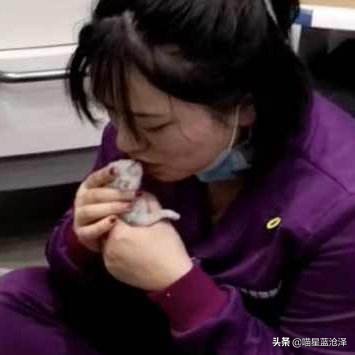 铲屎官要听懂的猫咪求救,铲屎官猫咪的急救信号