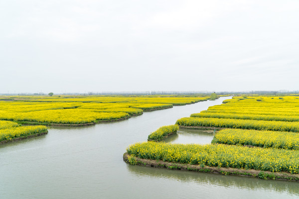 踏春赏花拍美景,踏春赏花逛湖