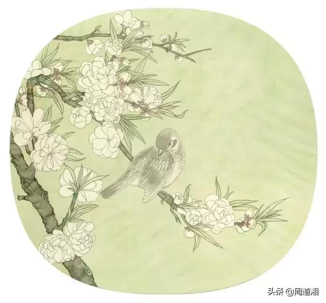 宋人工笔花鸟临摹步骤,工笔花鸟玉兰的画法