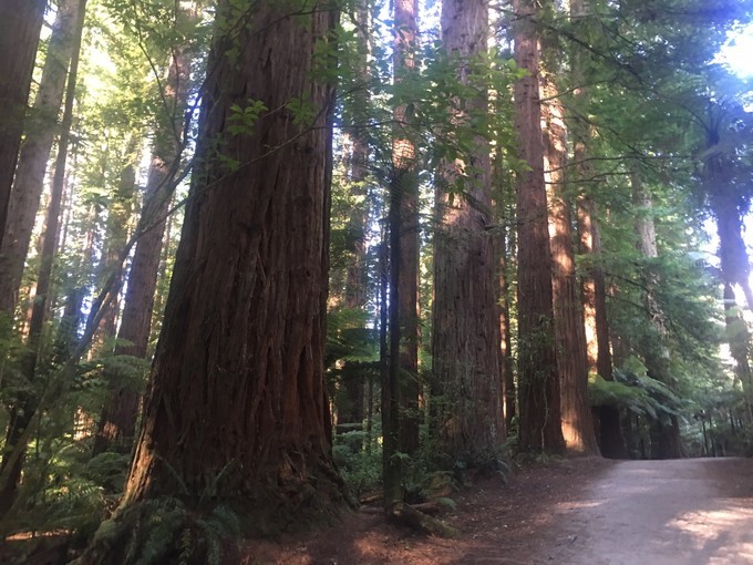 让你不出国就可以拍出欧洲即视感,让你不出家门就能看到江南的美景