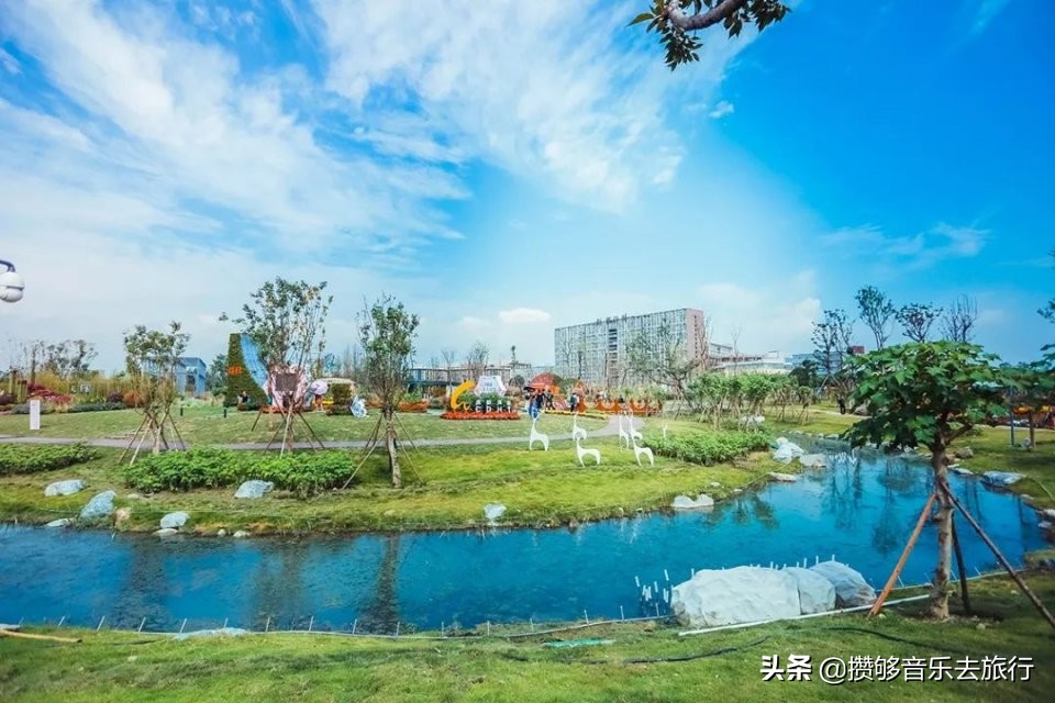 成都散步绿道有多好,逛绿道看风景