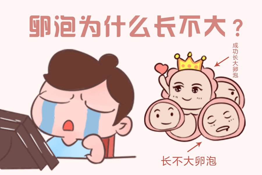 多囊朋友,卵泡为什么长不大,排不出?