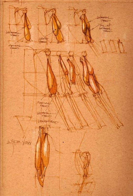 透视表现空间的基本方法,透视解剖学原理书籍