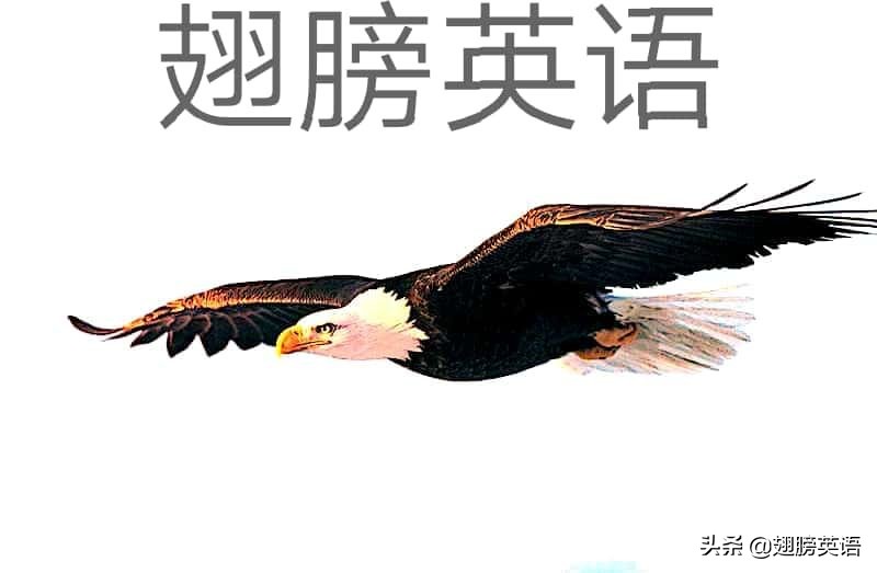 重点词汇will用法讲解,重点词汇用英语怎么说