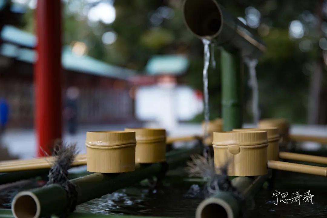 “5”缘有缘我与摄影的故事也是我与佳能“5”的故事