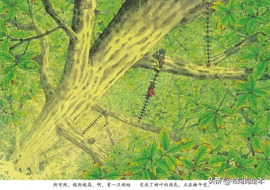 绘本中国传统节日里的故事中秋节,关于中秋节的中国原创绘本