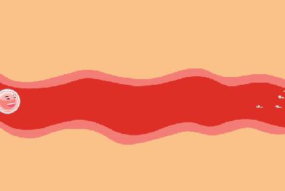 全球男性精子告急,出现精子危机会怎么样