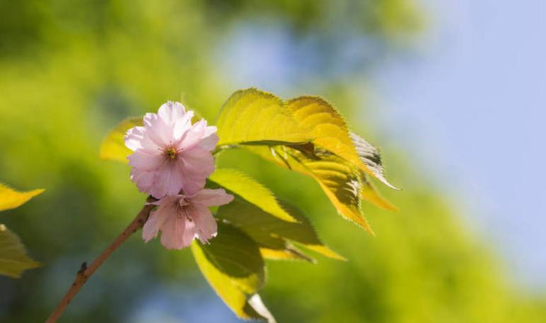 如果你爱上有家庭的男人就放手吧,如果你爱上一个人该怎么做呢