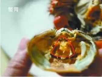 寿光羊口哪个海鲜好,寿光羊口开海节2022年