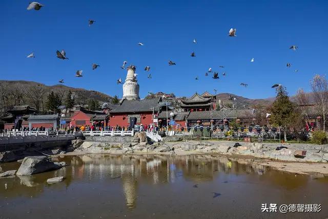 五台山文殊菩萨斋堂,五台山请尊文殊菩萨