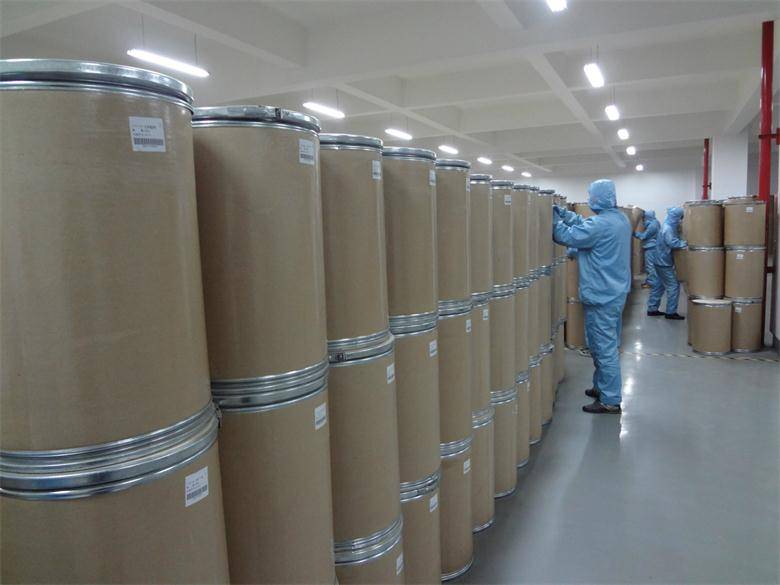 被低估的医药原料药龙头,国内原料药龙头一览