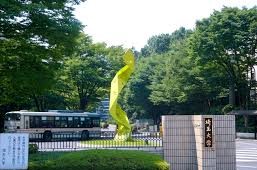 日本校园足球发展模式,日本校园足球深度分析