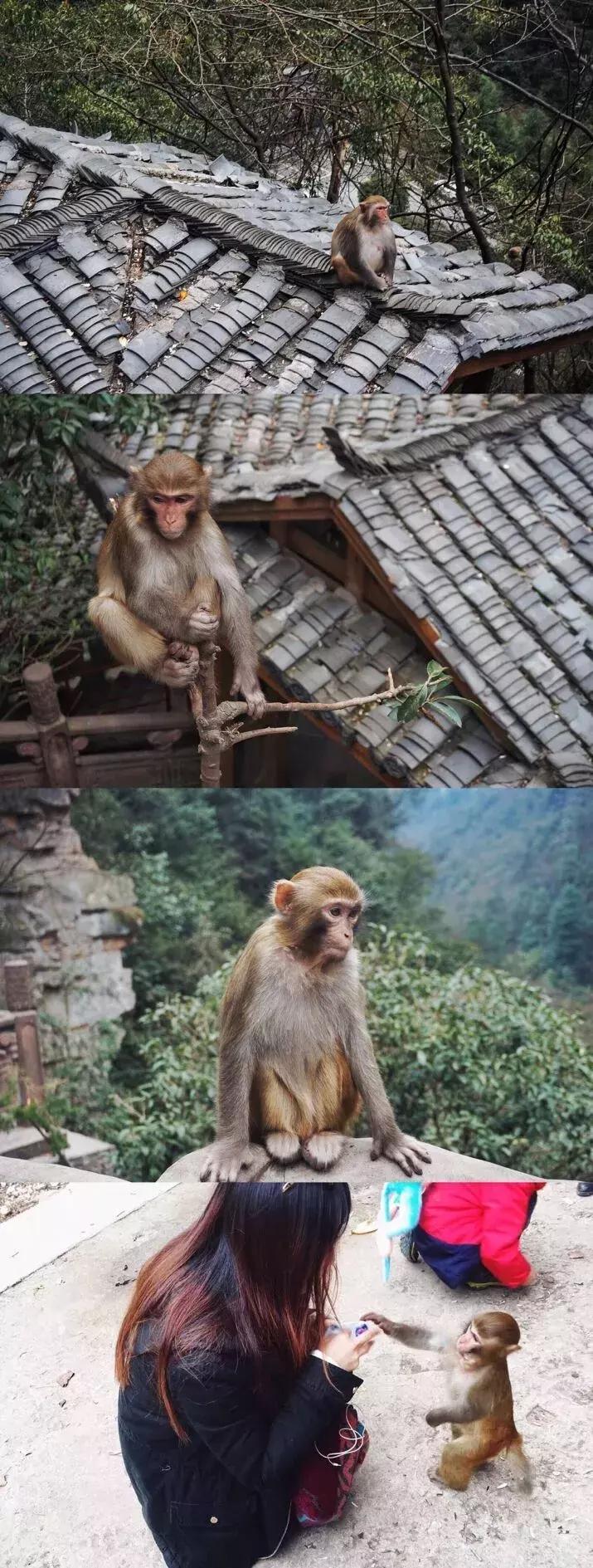 长沙自驾张家界途经景点,长沙旅游攻略景点张家界