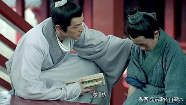 琅琊榜梅长苏是如何认识飞流的,琅琊榜真正结局梅长苏被飞流救了