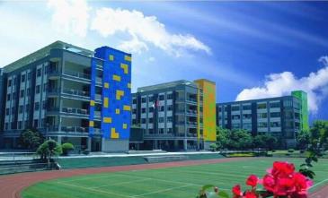 重庆南岸区2020小学划分,重庆南岸区小学排名一览表