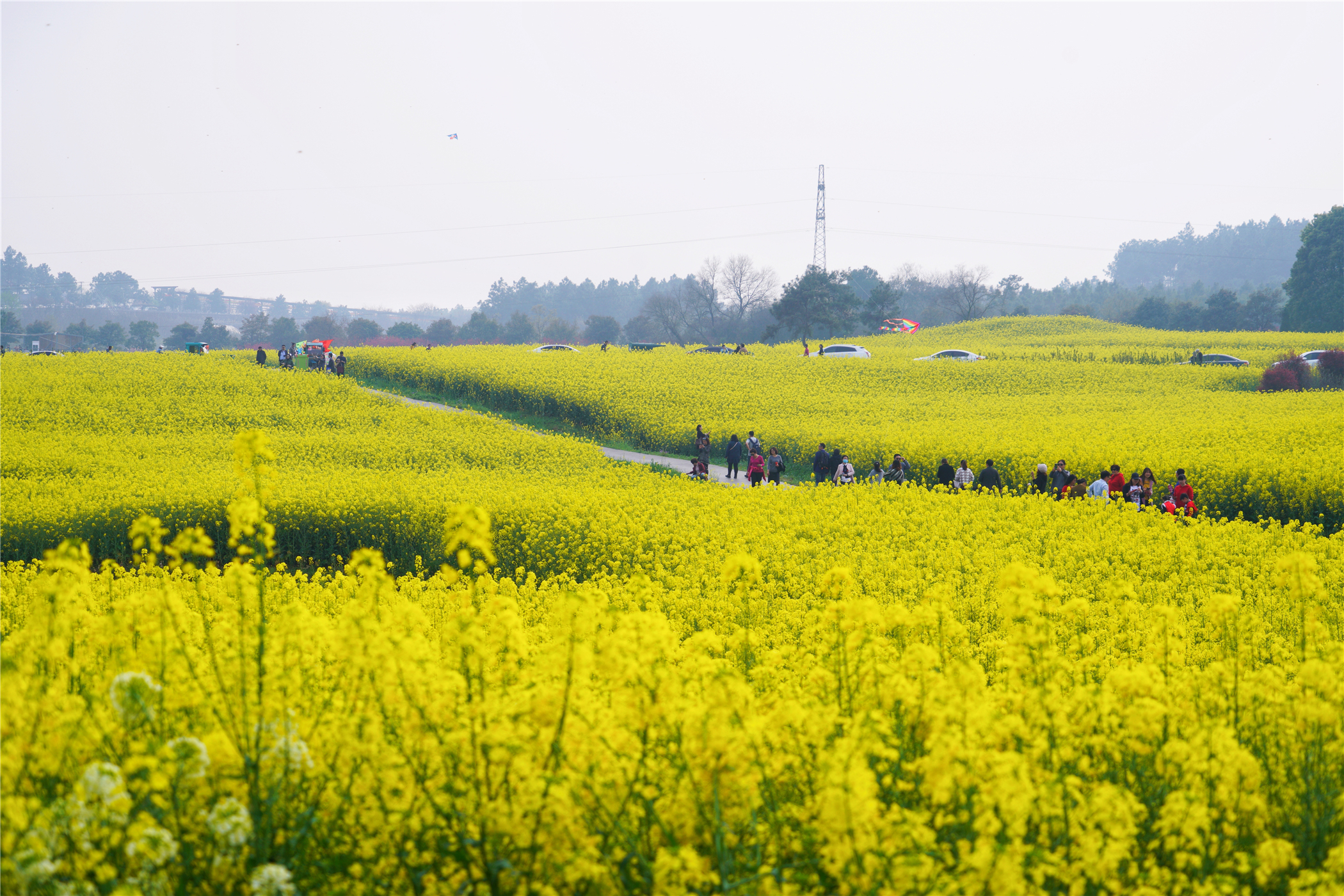 中国第一慢城高淳桠溪,南京高淳桠溪慢城