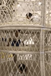 北京亲子酒店民宿推荐,盘点五家仪式感满满的亲子民宿