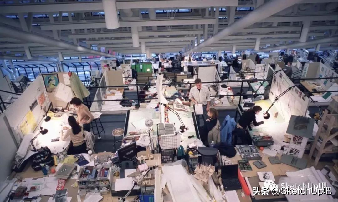 猛虎落泪指的什么动物打一生肖,猛虎落泪代表什么生肖打一动物