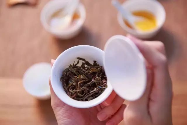一般的乌龙茶都有哪些品种,乌龙茶的种类有哪些图片