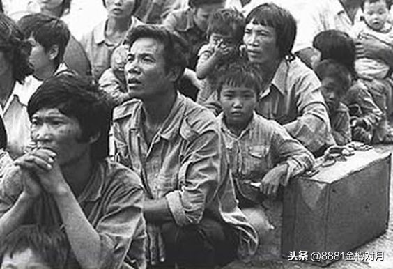 投奔怒海1982国语完整版,投奔怒海视频大全