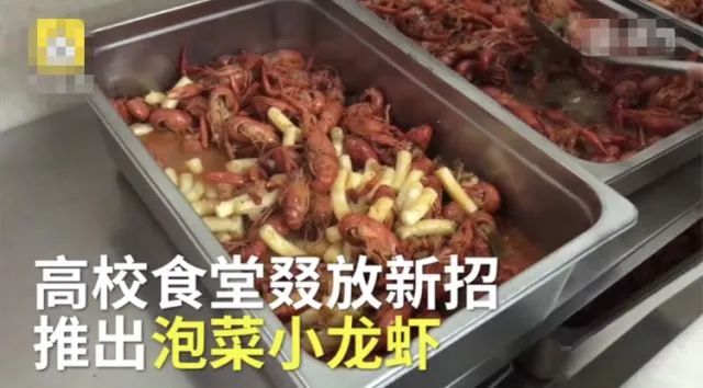 上海被低估的国际化学校,上海大学为啥被称为魔都良心大学