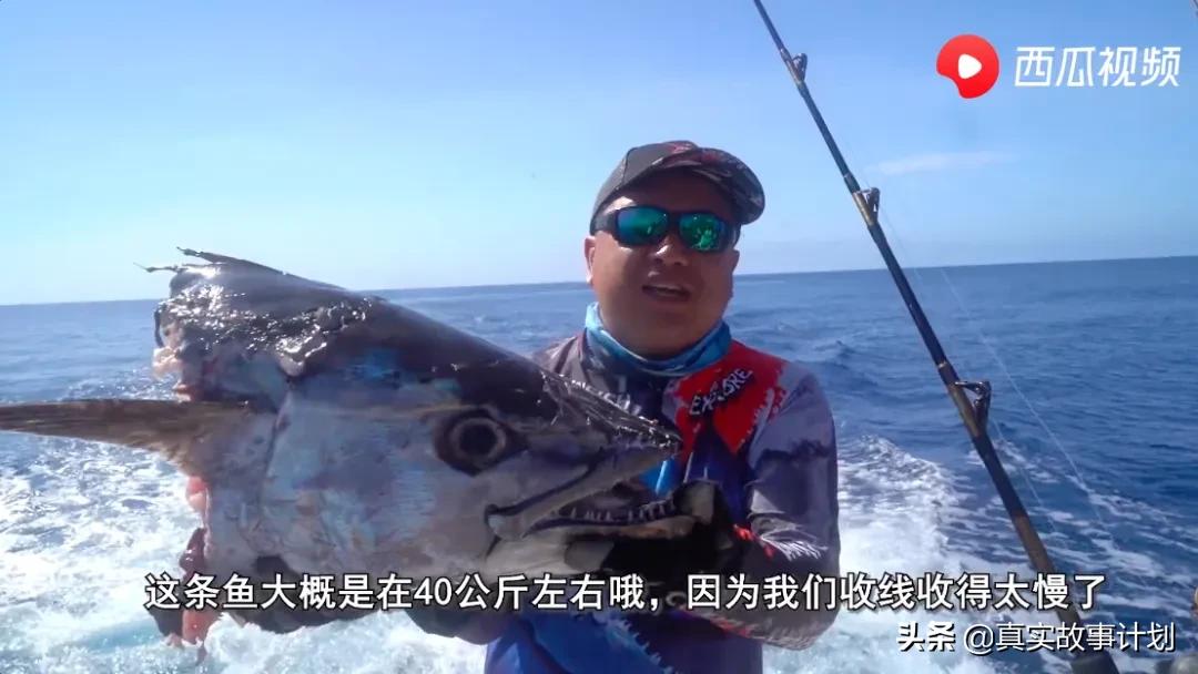 故事：前高管放弃百万年薪到无人区海钓，捕获246斤狗牙金枪
