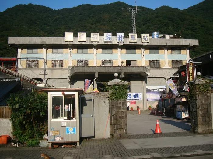 撸猫人士必去的旅游景点,探访猴硐猫村