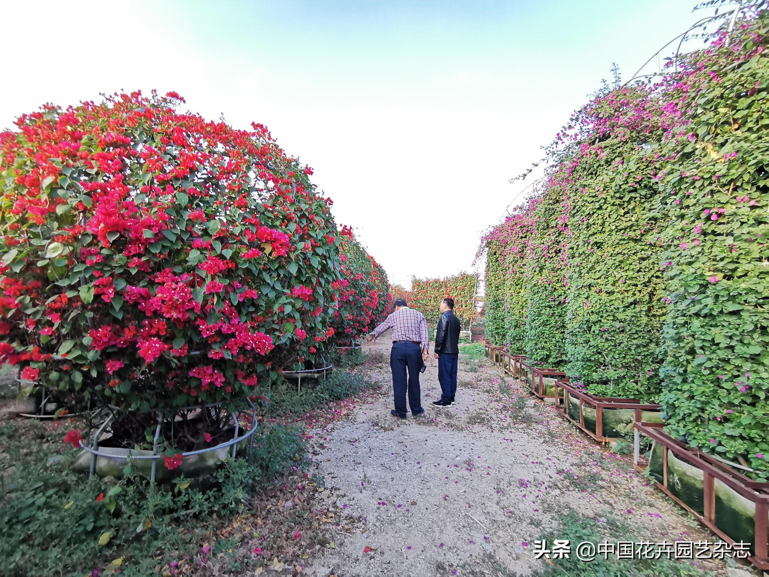 为产业发展提振信心注入新动能,为激发市场活力添动能
