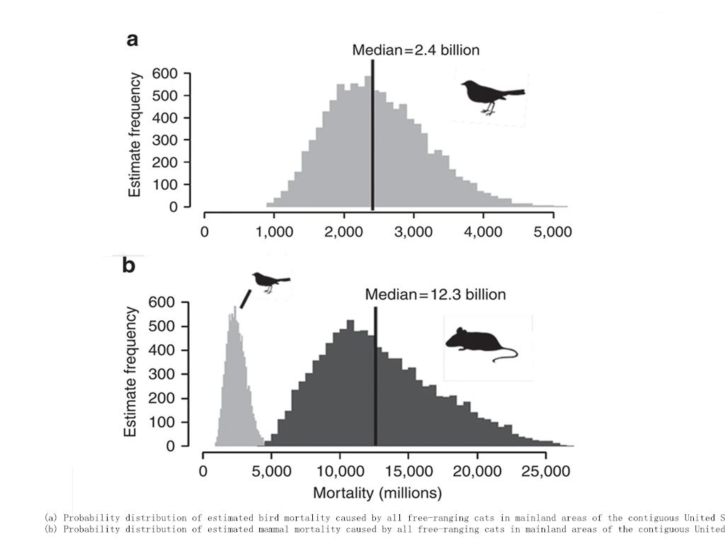 神经受损的猫,神经系统损坏能修复吗