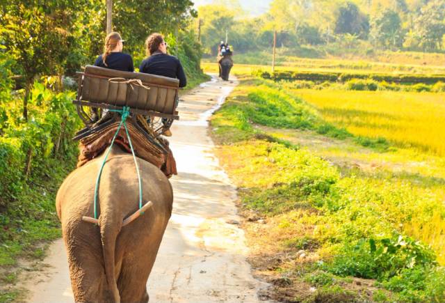 泰国自由行防骗防宰指南