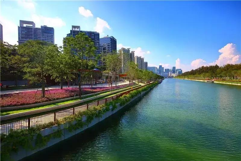 深圳适合春游的地方推荐及理由,深圳不可错过的游玩地方